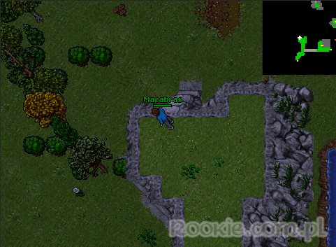 Image uploaded by Advantage