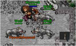 Image uploaded by Reiryuk