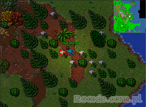 Image uploaded by Advantage